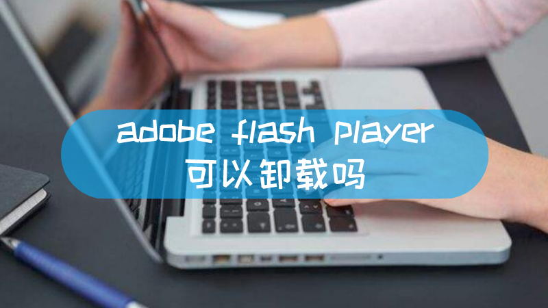 adobe flash player可以卸载吗 adobe flash player 能卸载吗