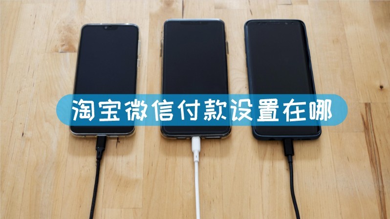 淘宝微信付款方式设置在哪 淘宝微信付款方式在哪里设置文章配图